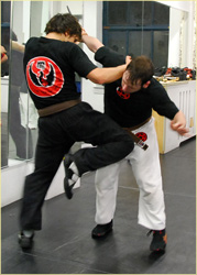 Krav Maga for self defense